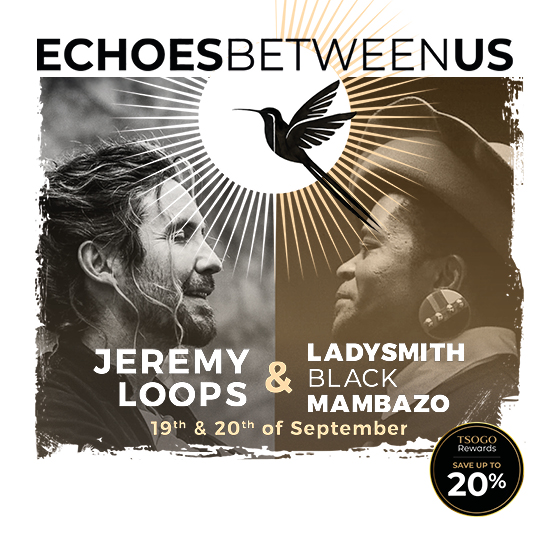 Echoes Between Us